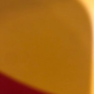 Meet your Posher, Ronny